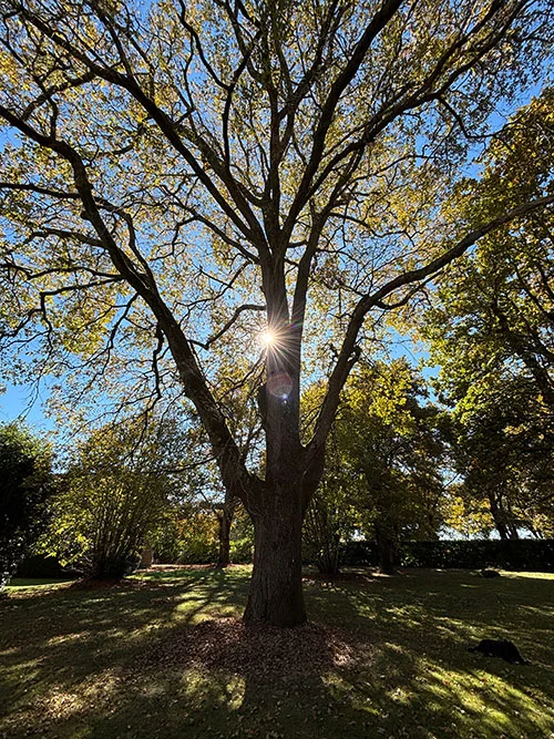 Le lieu en détail : accueillir votre stage artistique dans un cadre inspirant - Parenthèses en Art's Maniacs