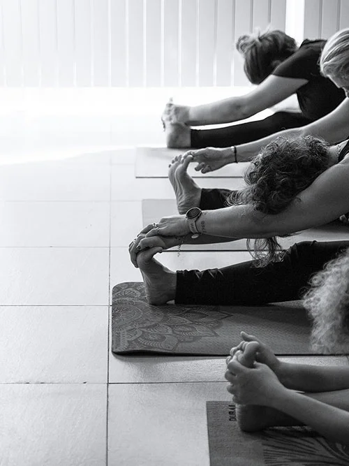 Taille de groupe et dynamique humaine pour unstage à La Parenthèse