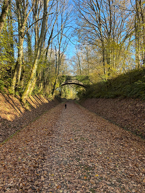 Pratique et logistique pour l'organisation d'un stage à La Parenthèse - Labastide d'Armagnac