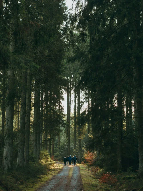 Organiser votre stage artistique dans les Landes, à La Parenthèse