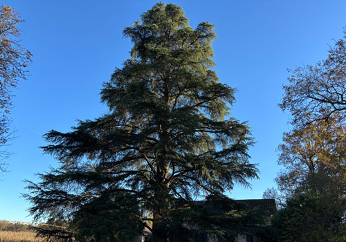 Stage d'Arts Graphiques à La Parenthèse - espace et lumière - Labastide d'Armagnac