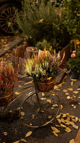 Stage créatif artisanal dans les Landes - La Parenthèse - Labastide d'Armagnac